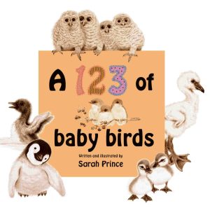 123 of baby birds book surrounded by some of the birds illustrations found inside