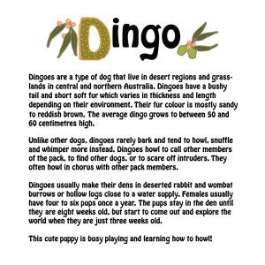 page 6 of book of aussie babies - facts about dingos