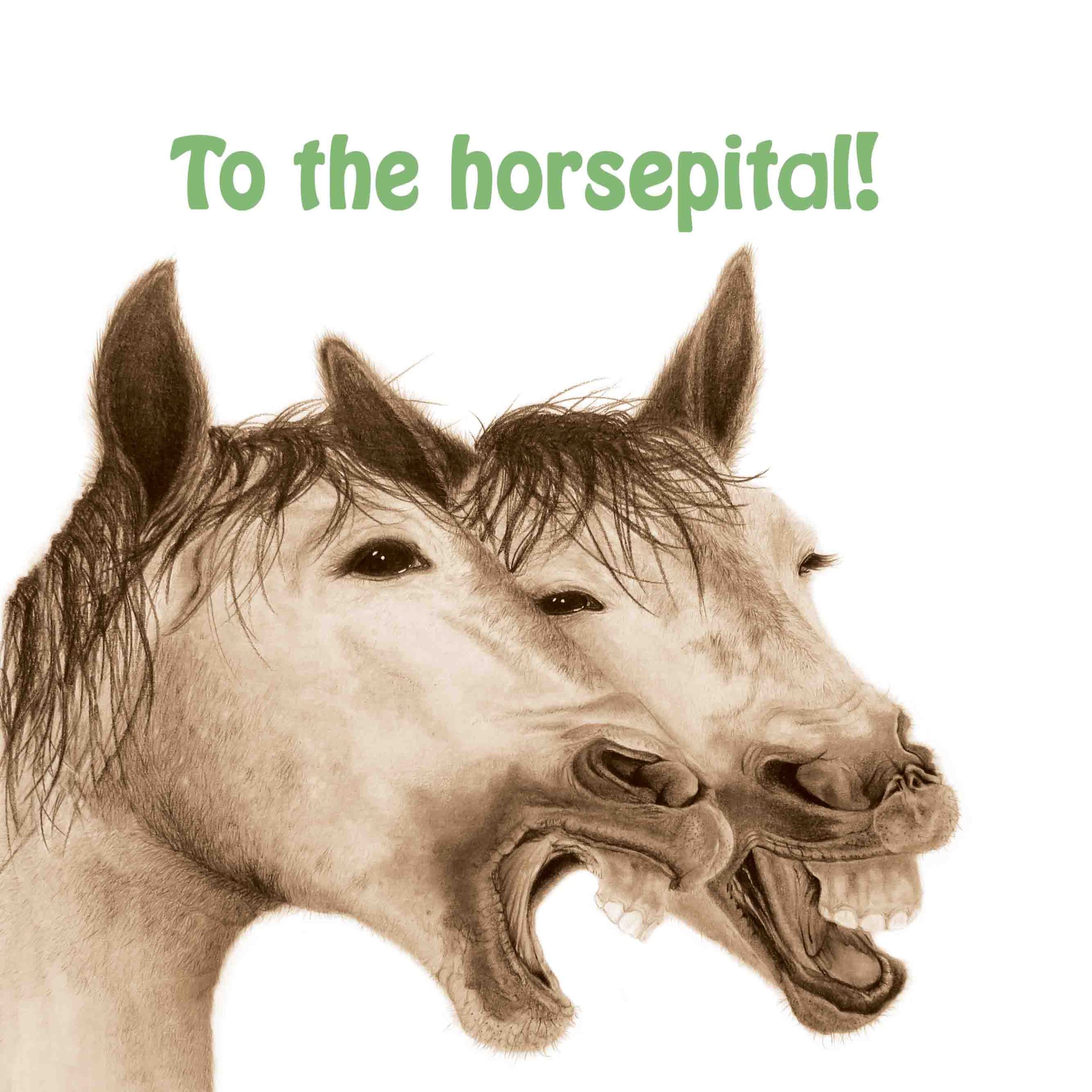 page 2 of the grandpa book answer - to the horsepital!