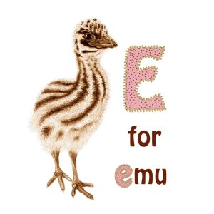book - An abc of baby animals - page 10