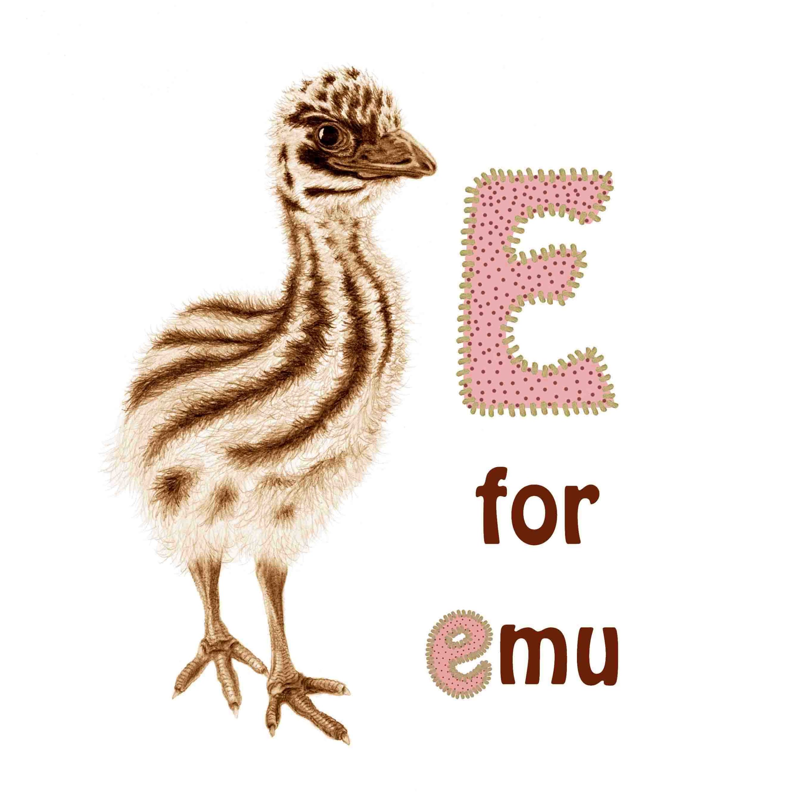 book - An abc of baby animals - page 10