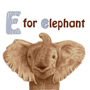 book - An abc of baby animals - page 11