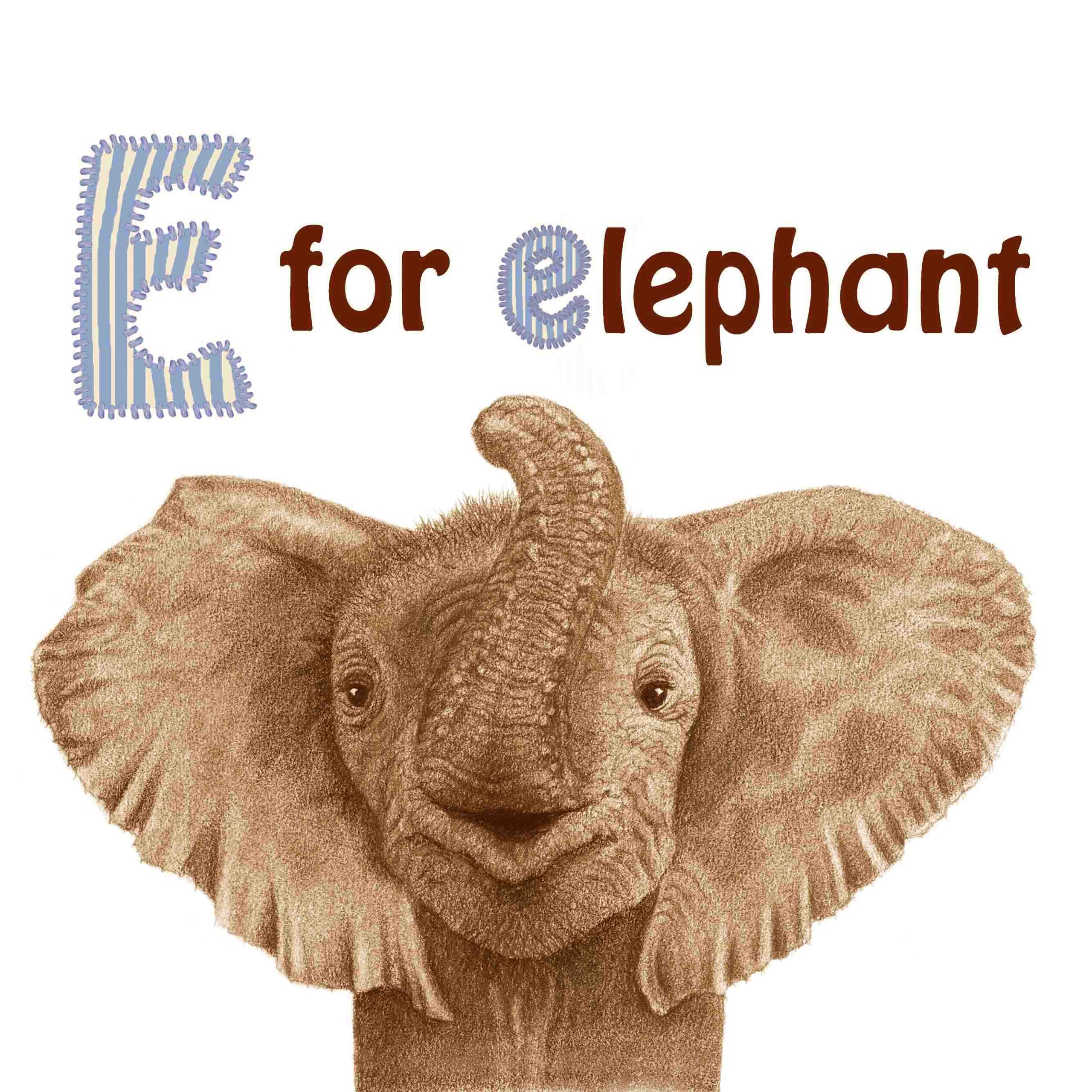 book - An abc of baby animals - page 11