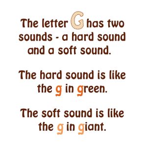 book - An abc of baby animals - page 13