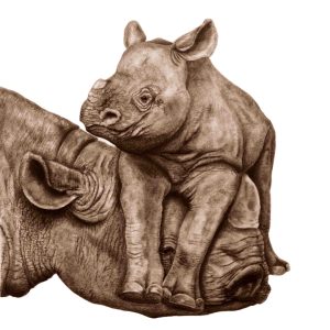 page 10 of the mothers and babies book - a baby rhino lying on top of his mothers head!