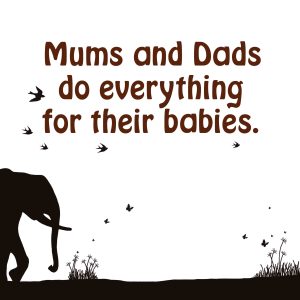 page 1 of the mothers and babies book - about how mums and dads do everything for their babies
