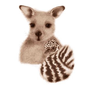 page 4 of book of aussie babies - image of a kangaroo joey and an email