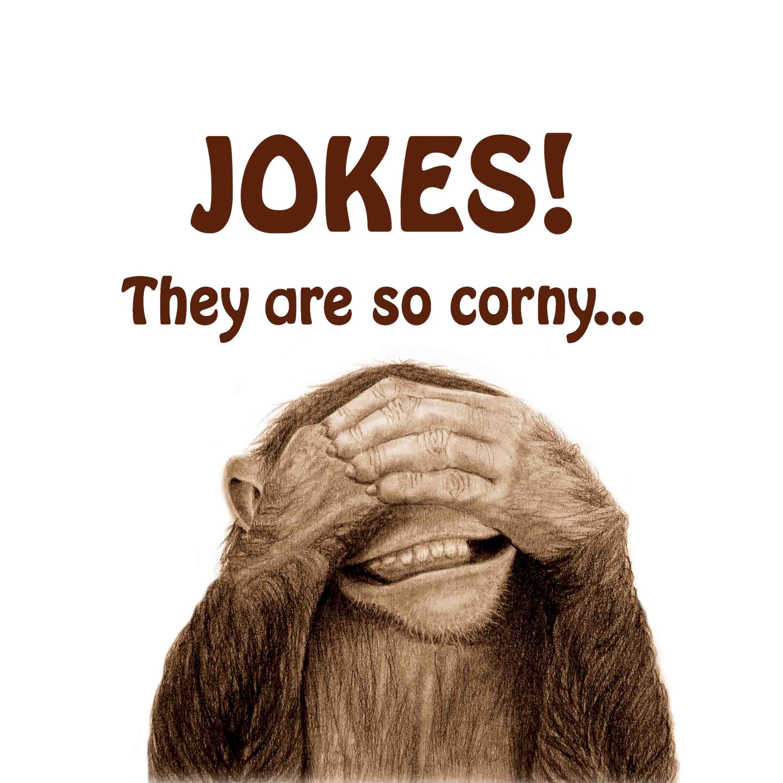 page 3 of the grandpa book - the bad thing is their jokes they are so corny!