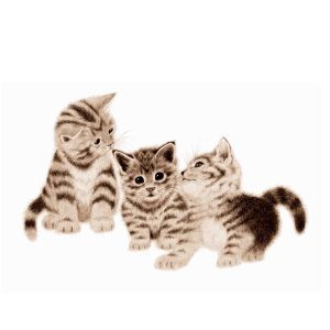 page 4 of farm book - three little kittens