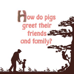 page 4 of the grandpa book - joke how do pigs greet their friends and family?