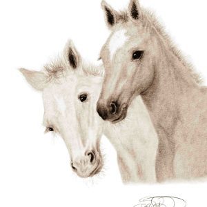 palomino foals print
