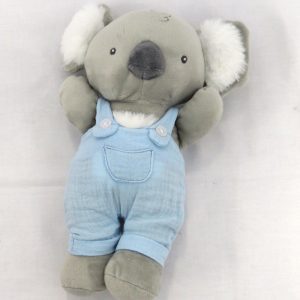 Koko koala front view