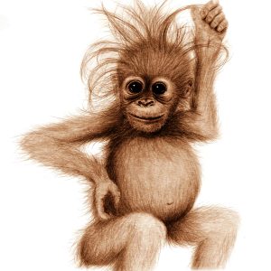 Orangutan baby print
