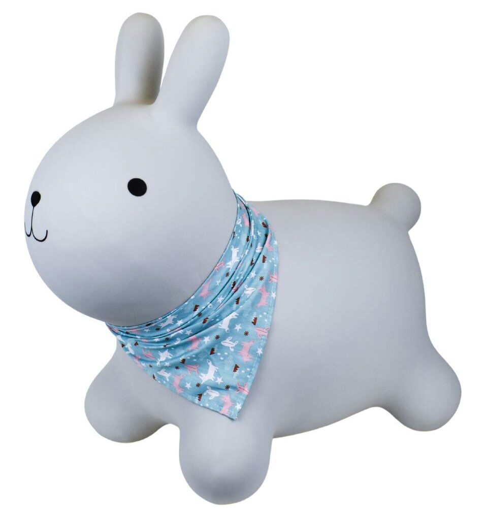 ashby rabbit bouncy rider