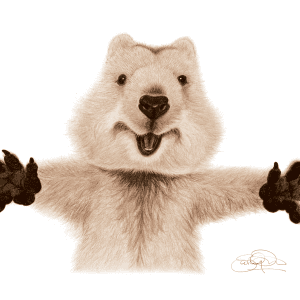 Happy quokka print