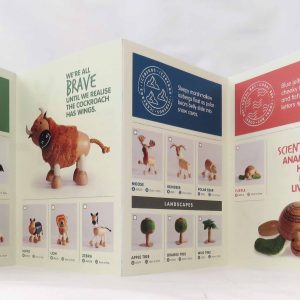 anamalz pamphlet back view