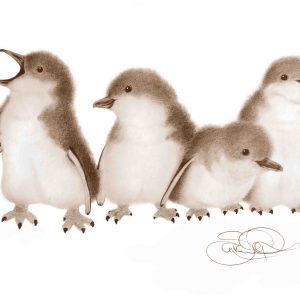 Print of four fluffy baby penguins