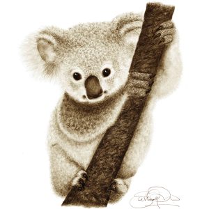 Cute baby koala print
