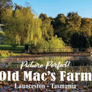 magnet - picture of restaurant overlooking the lake at old macs farm