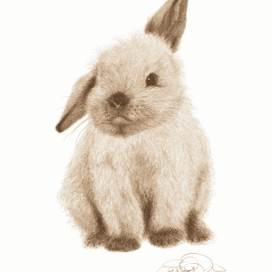 lop eared bunny print