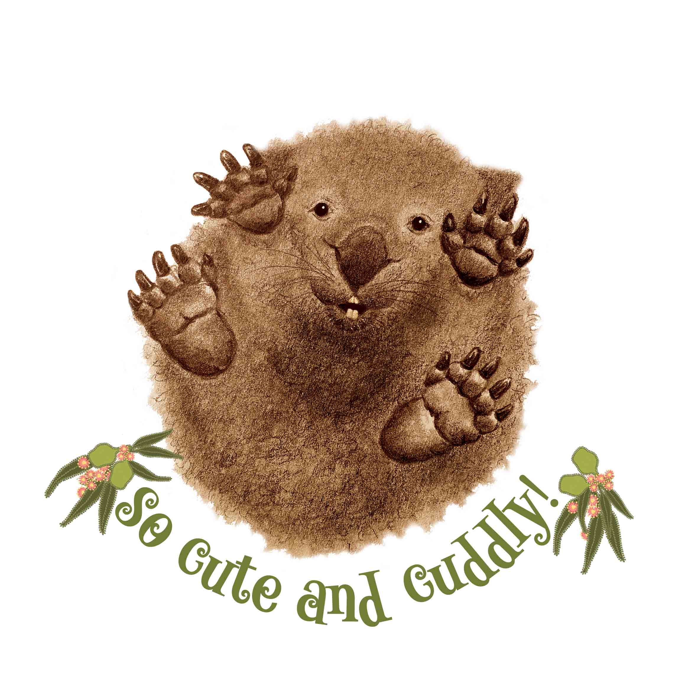tshirt print in greens - baby wombat lying on his back - text reads so cute and cuddly!