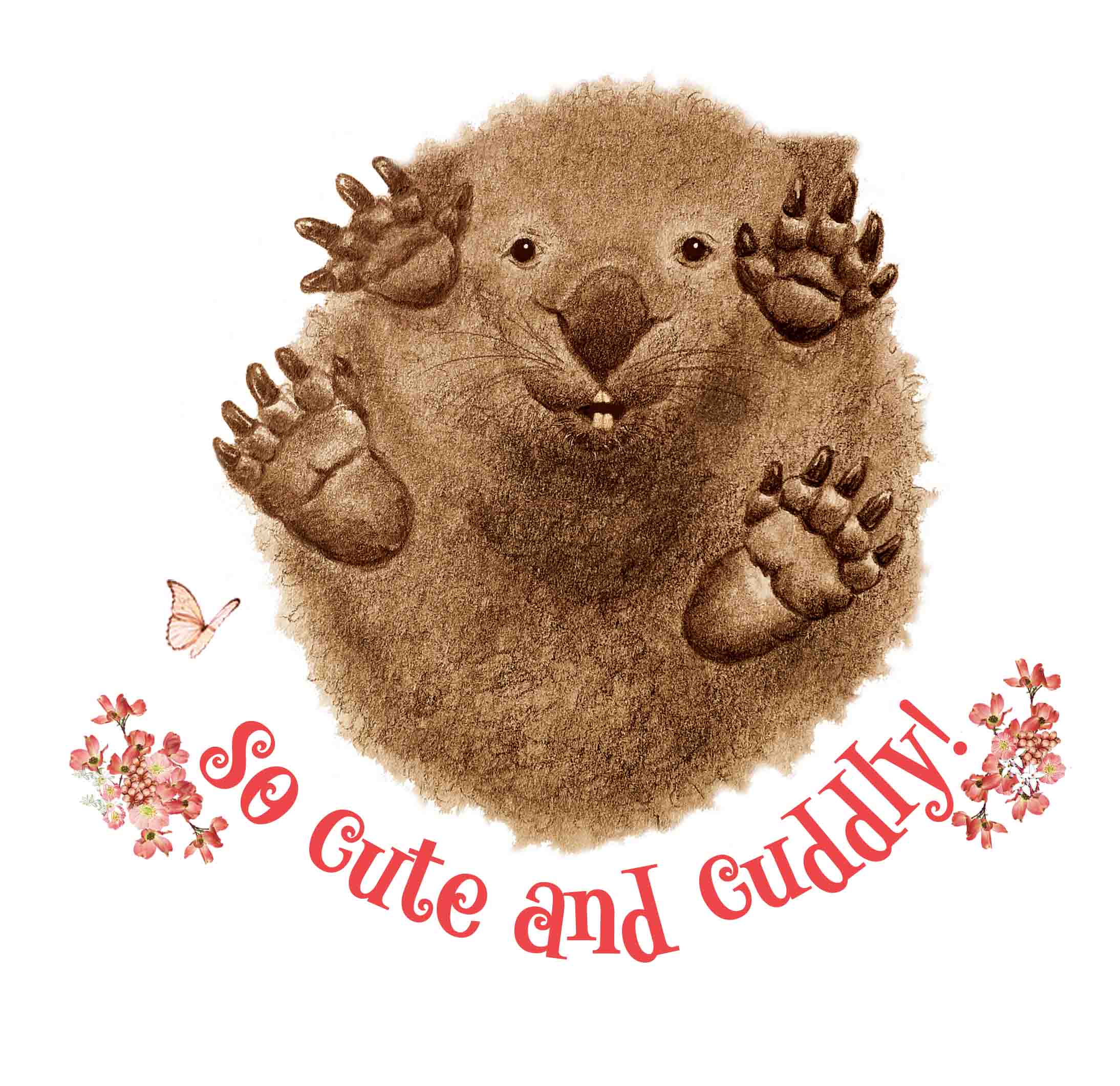 tshirt print in pinks - baby wombat lying on his back - text reads so cute and cuddly!